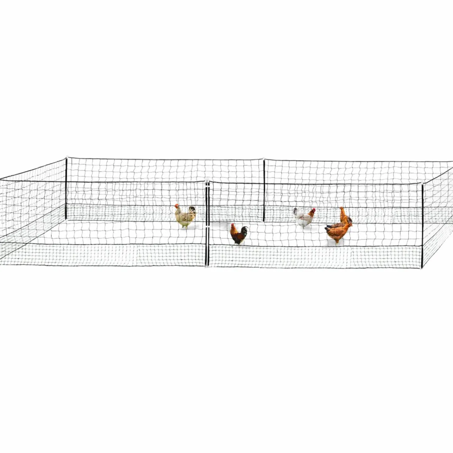 Filet pour poulailler 12 m*IDMarket Hot