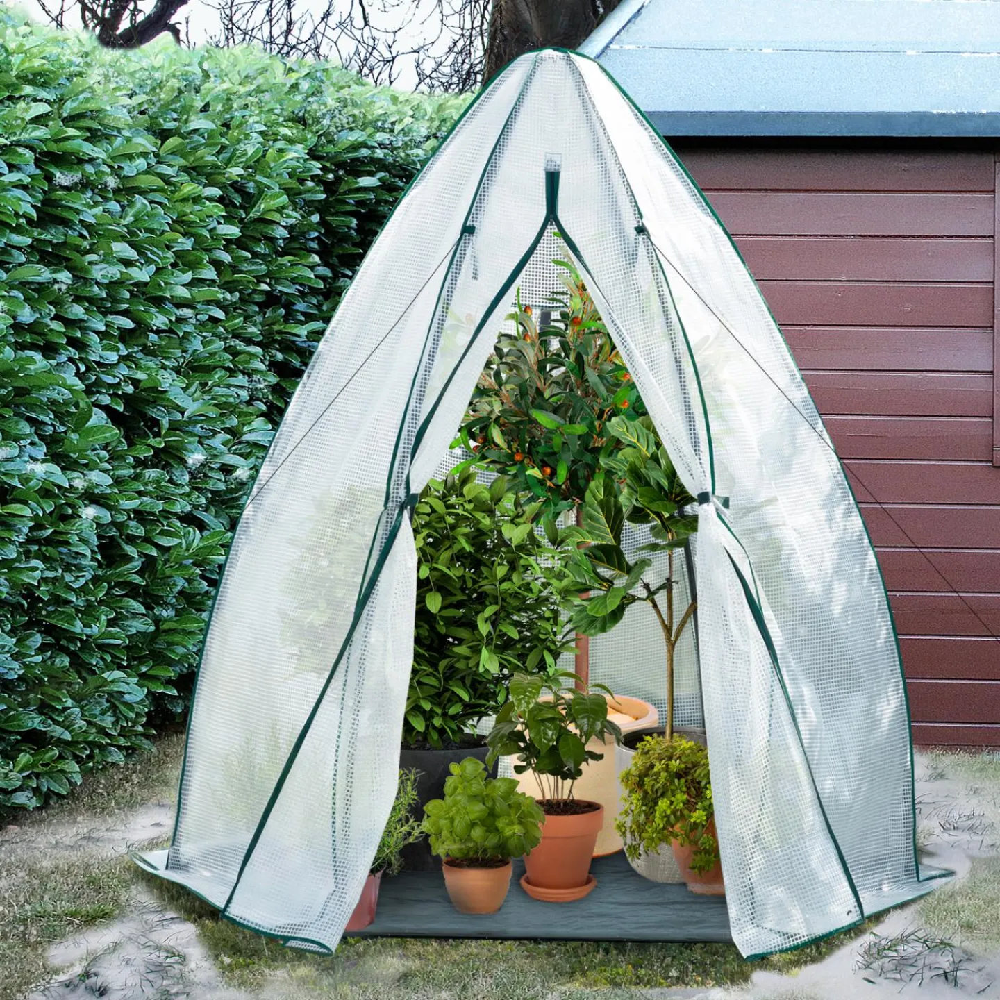 Serre pour hivernage des plantes*IDMarket Clearance