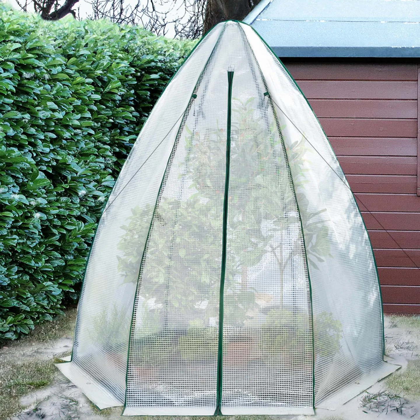 Serre pour hivernage des plantes*IDMarket Clearance
