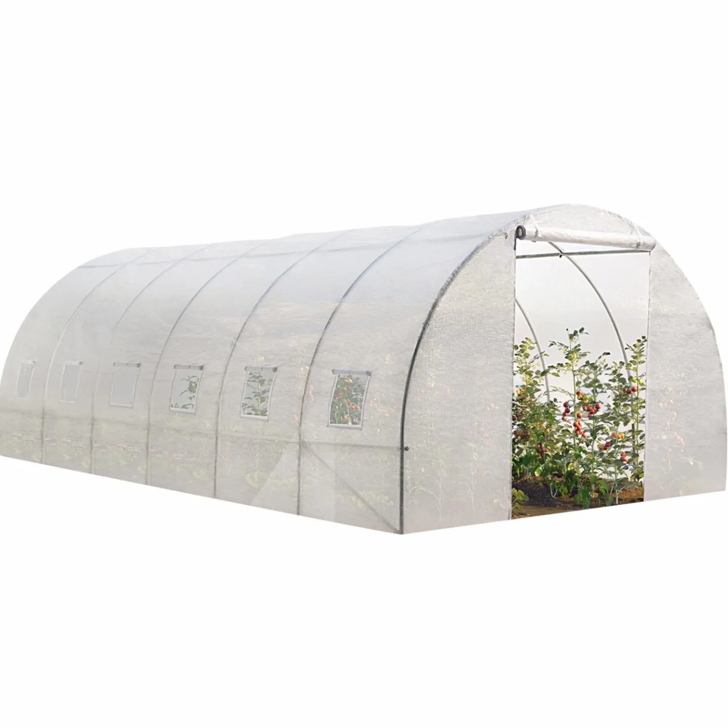 Serre 6x3 m transparente*IDMarket Outlet
