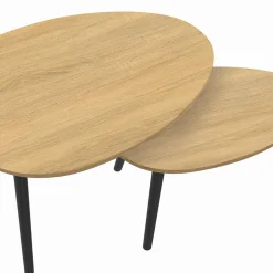 Tables basses gigognes scandinaves bois et noir - lot de 2*IDMarket New