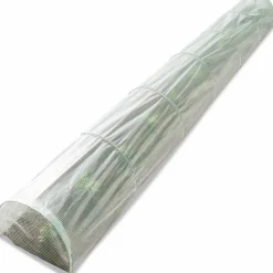 Tunnel de forçage 5 m*IDMarket Online